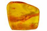 Three Flies (Chironomidae, Sciaridae & Empididae) in Baltic Amber #163460-4